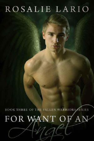 [The Fallen Warriors 03] • For Want of an Angel